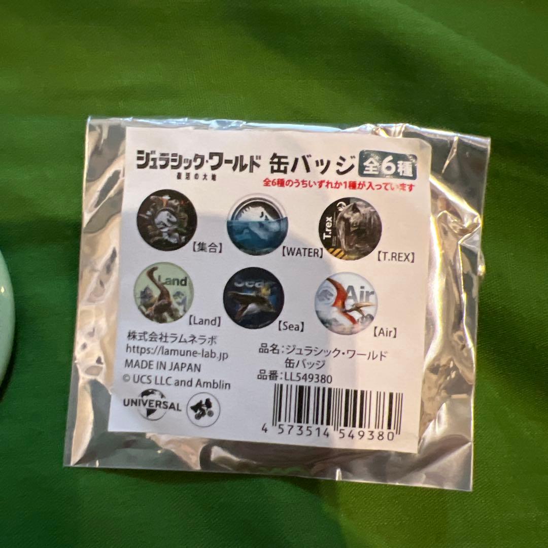 ジュラシック・ワールド 缶バッジ Land＋ミニクリアファイル - メルカリ