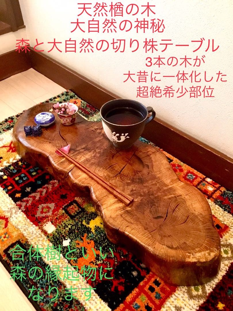 天然楢【神秘的な合体樹＊3本の木が一体化/森と大自然の切り株テーブル】ちゃぶ台 楢（ナラ） 一枚板 ダイニングテーブル／1350mm 【A8230】 【一枚板