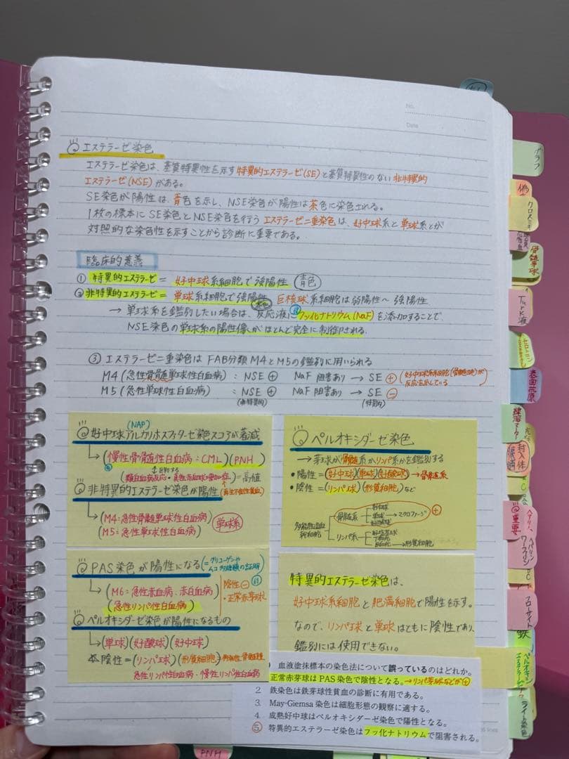 原本発送:血液学】臨床検査技師国家試験 付箋ノート ファイル - メルカリ