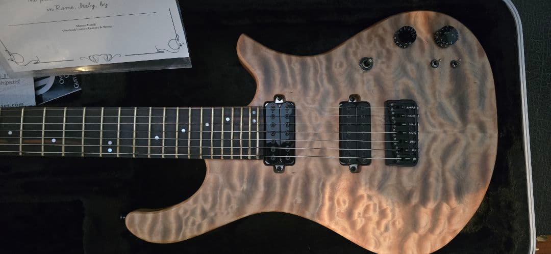 最終値下げ)Overload custom guitar REA7
