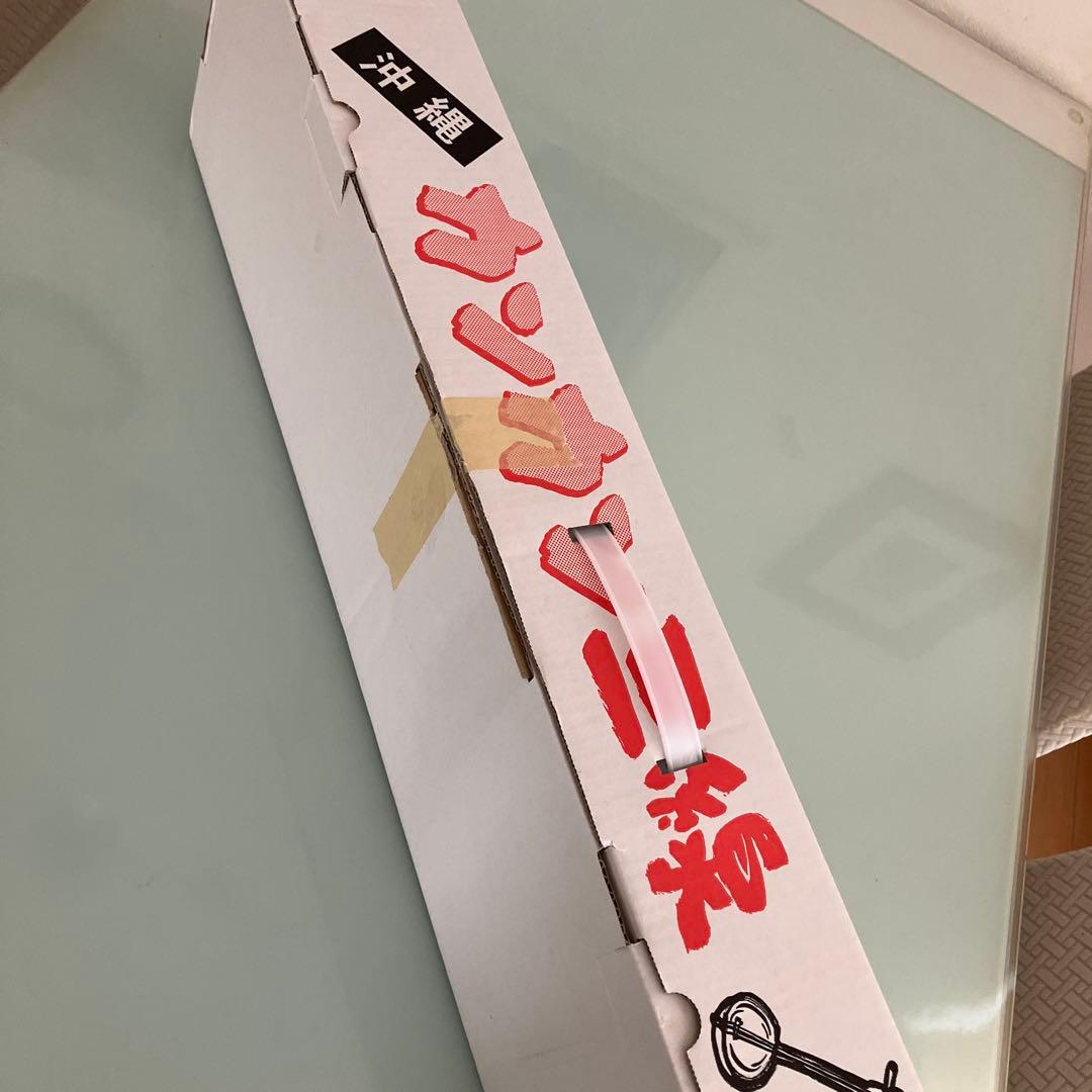 未使用】カンカン三線 カンカラ三線 ハイビスカスと蝶柄 沖縄
