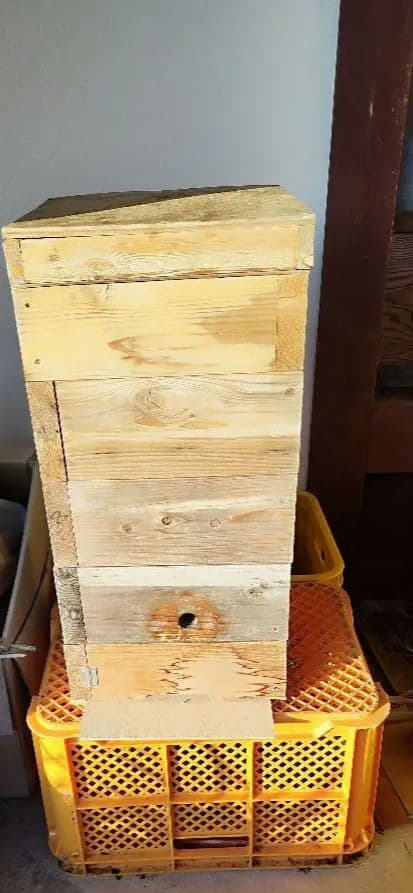 日本蜜蜂中古巣箱　分蜂捕獲セット　ミツロウ ② 分蜂群を絶対に逃がさない取込方法(改定) : ニホンミツバチが住める