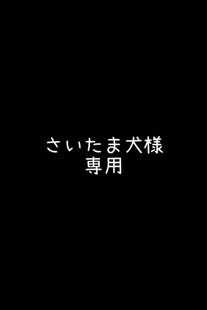 さいたま犬　食品サンプル　持ち上げハイボール　白州 サントリープレミアムハイボール白州〈シェリー樽原酒ブレンド
