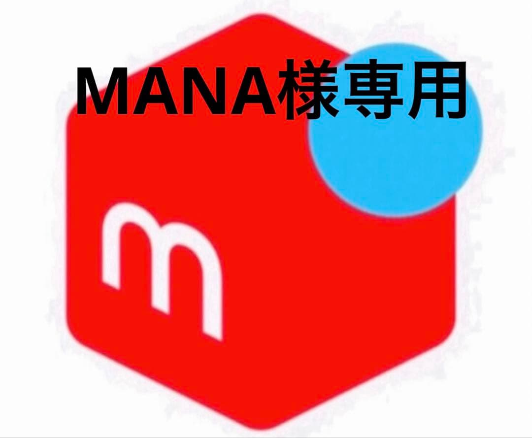 その他 MANA トリックスター】ZX-4R政府認証フルエキゾーストマフラーを発売開始
