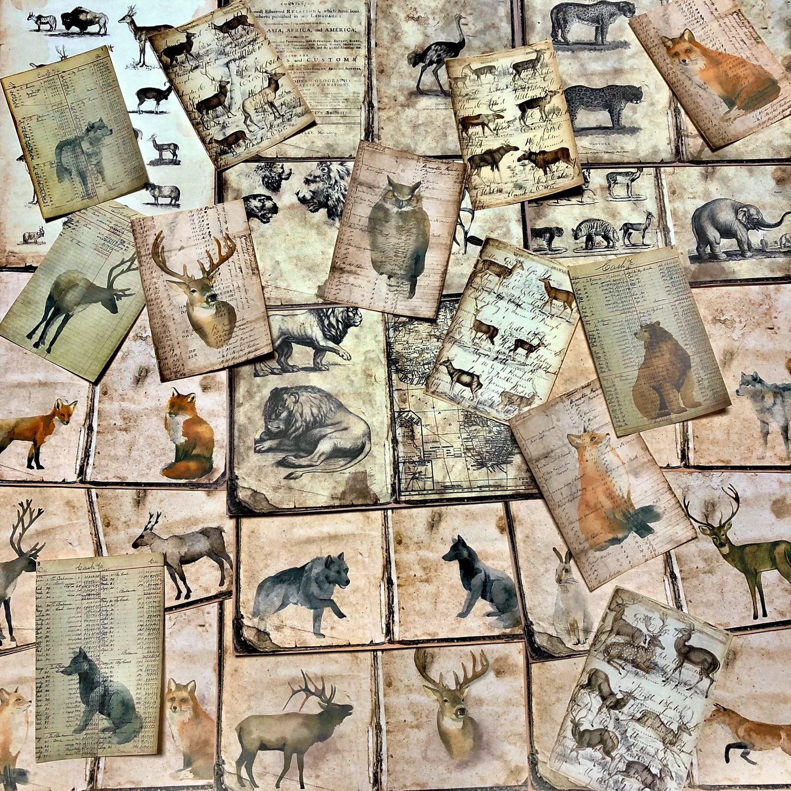 再販×18)動物達の古い紙ものセット＊コラージュ素材＊ジャンク