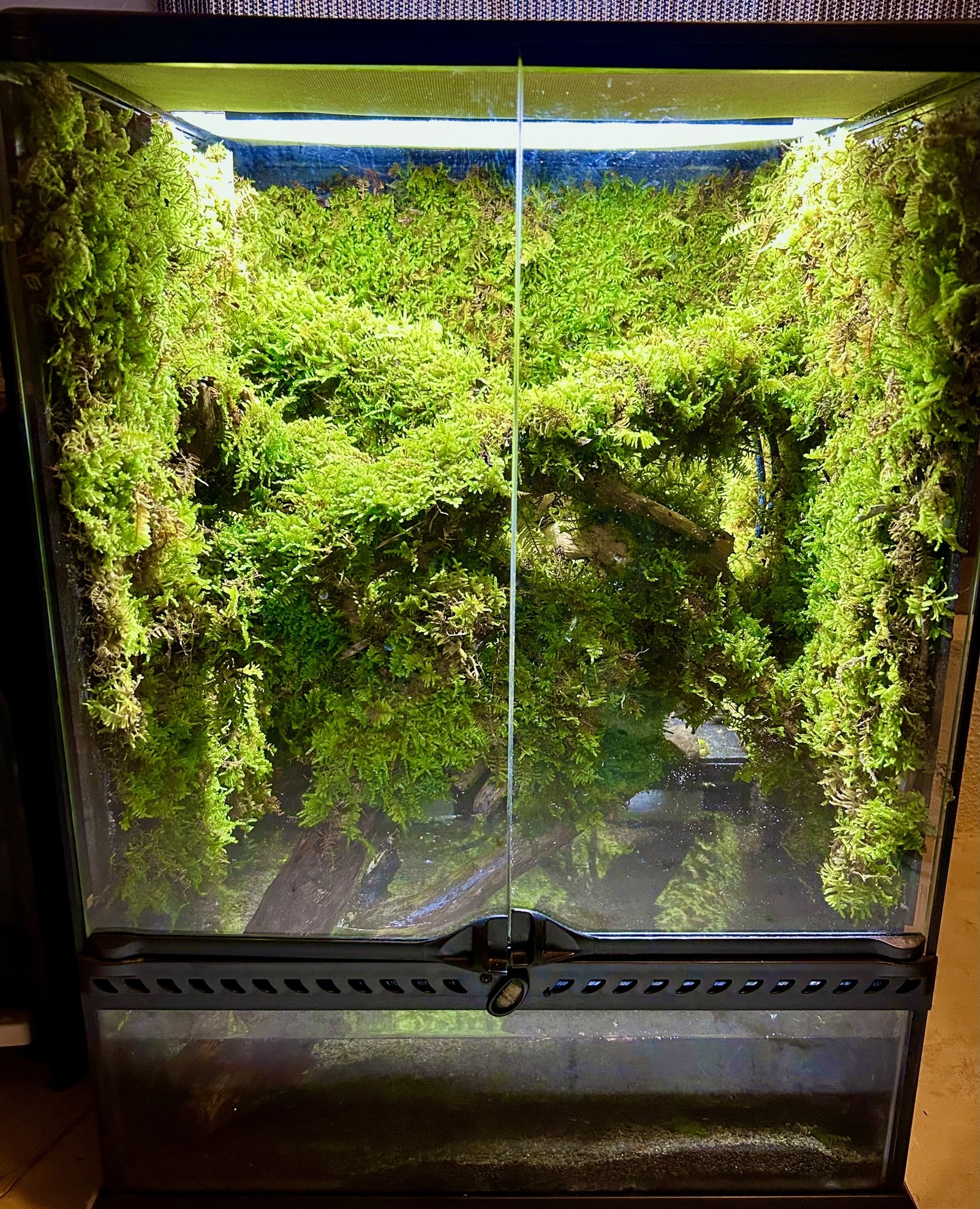 水の流れる滝テラリウム水槽 60サイズ - sangwaa | minne byGMOペパボ