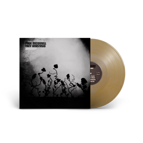 CDs, Vinyl | Shop the Trey Anastasio Official Store Official Store