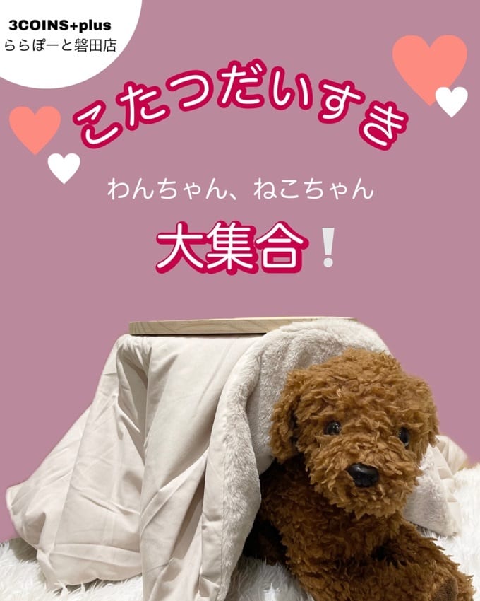 ペットのこたつデビュー叶えます❣️ - 3COINS(スリーコインズ