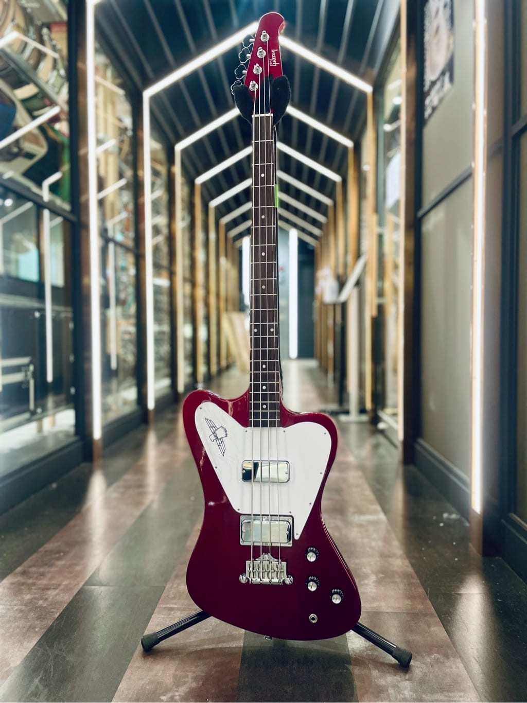 Gibson Non-Reverse Thunderbird (Sparkling Burgundy) 【半期決算