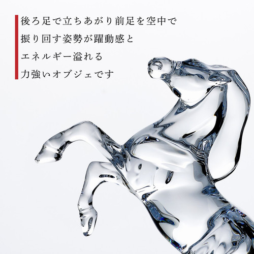 Baccarat バカラ いななく馬 名入れ彫刻代込み | Baccaratonlyshop