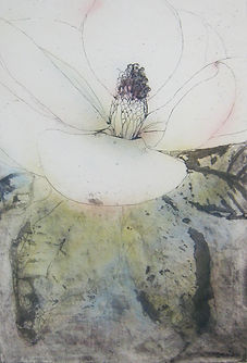 安井寿磨子作品onlineshop