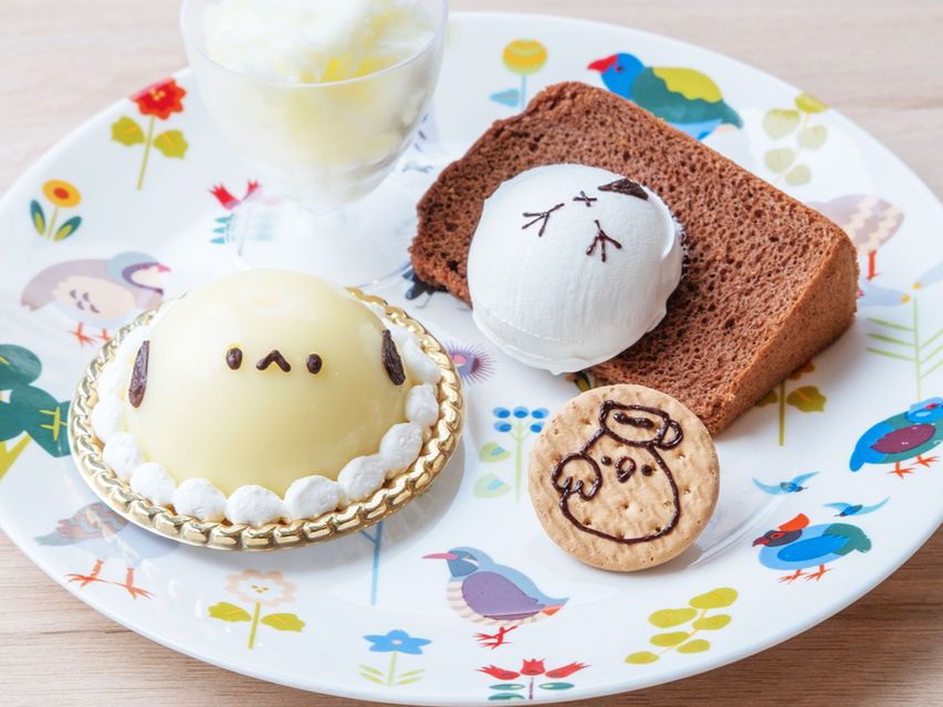 小鳥と触れ合えるカフェ】ことりすまいる | 心斎橋徒歩8分