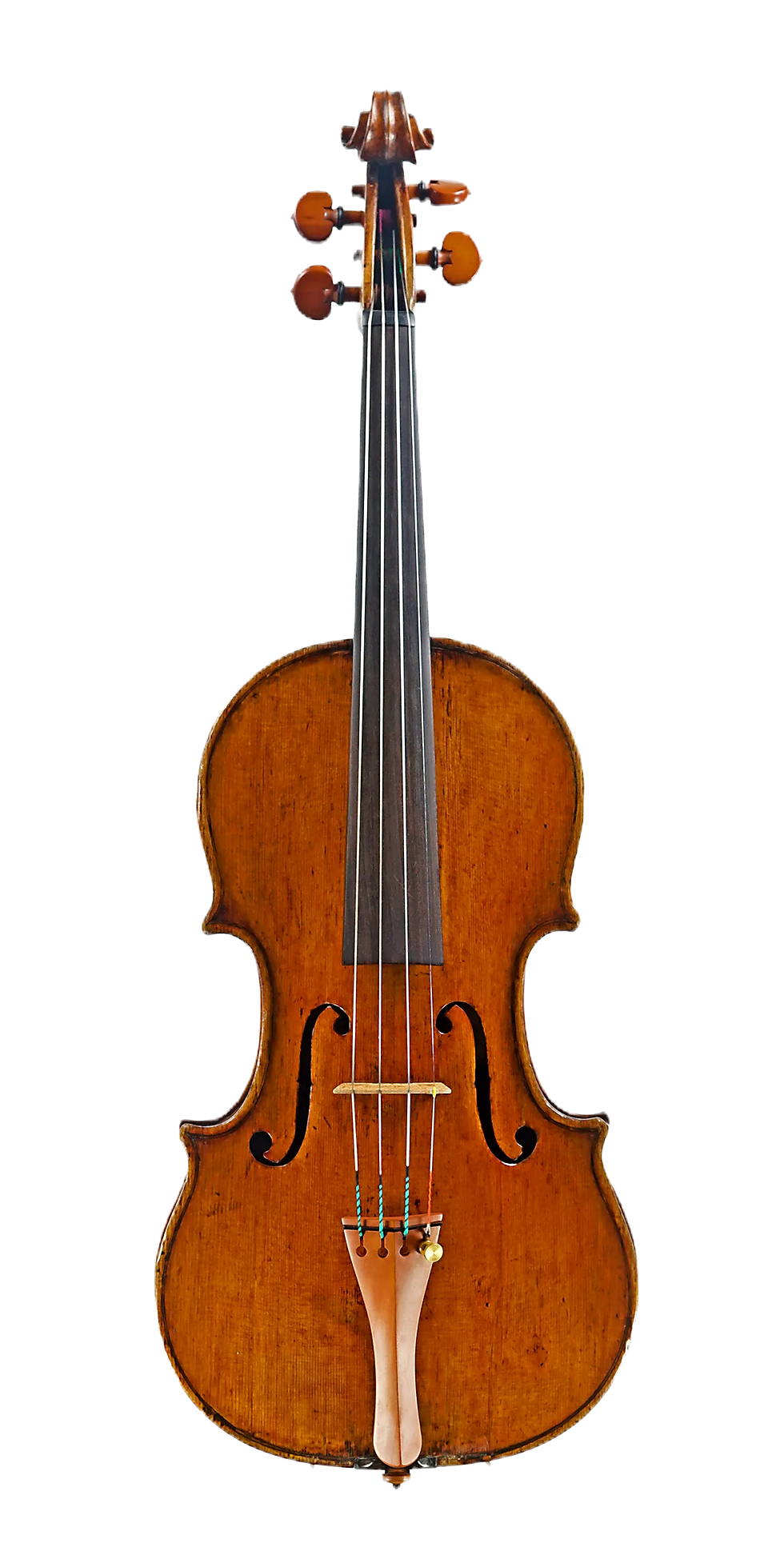 A Violin by Giuseppe Lucci | Jonathan Solars Fine Violins