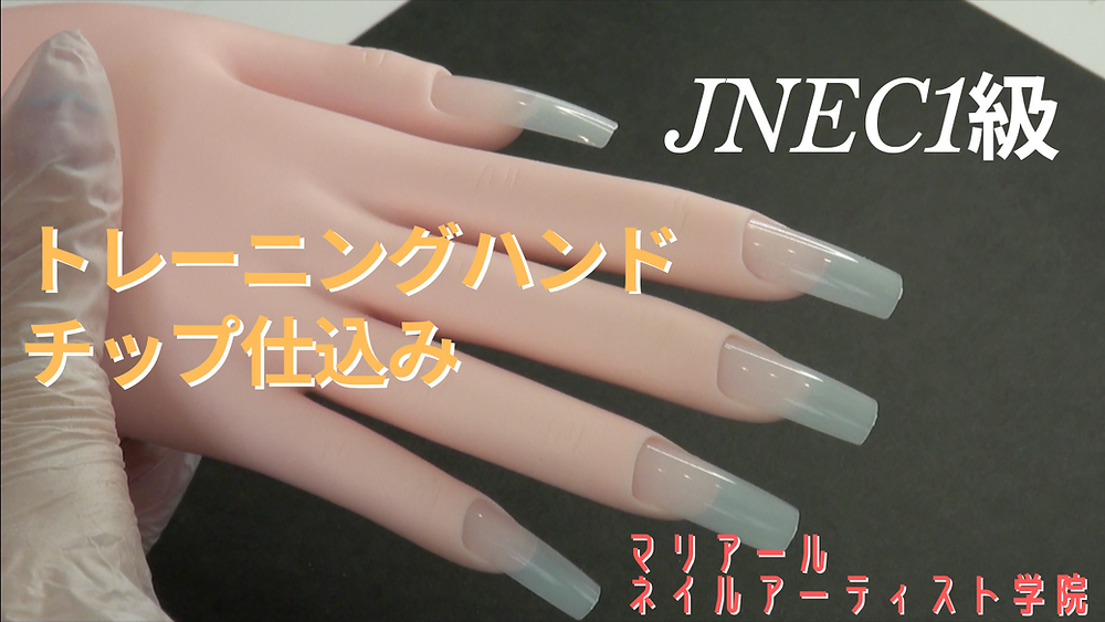認定モデルハンド シャレドワ ネイル検定 1級 チップ 【公式通販】