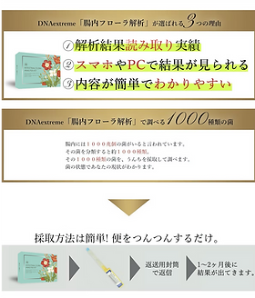 腸内フローラ解析キット | DNAextreme