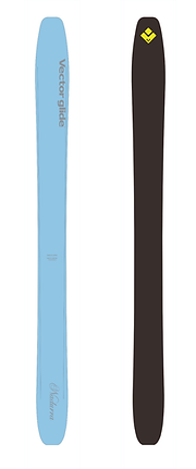 Skis | VECTOR GLIDE