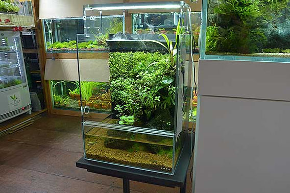 DOOA システム水槽。