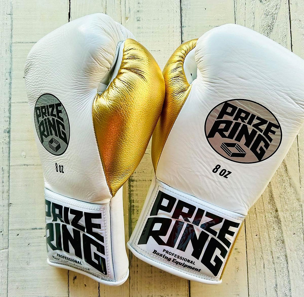 ボクシンググローブ | prizeringsports