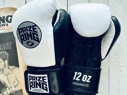 ボクシンググローブ | prizeringsports