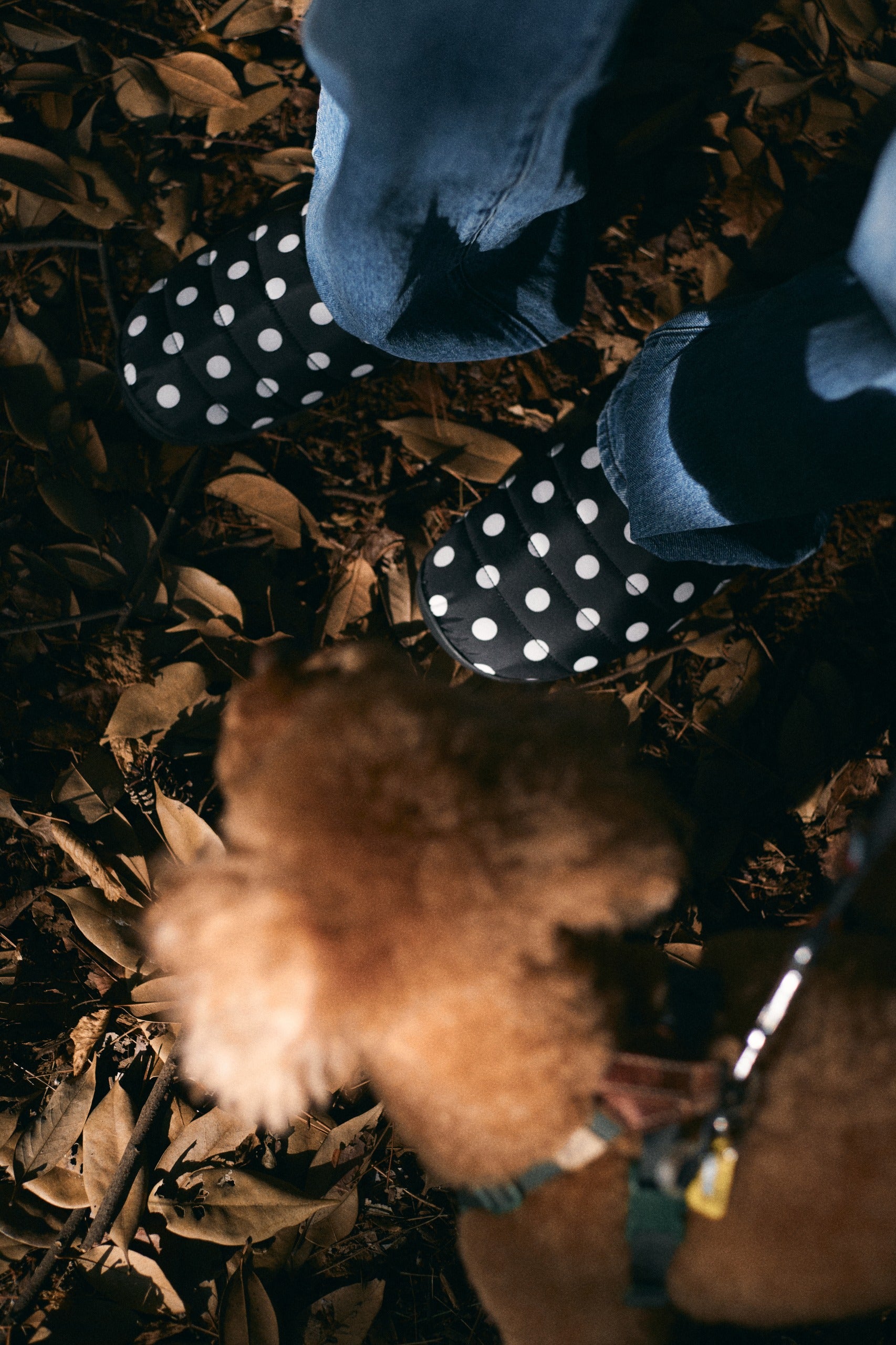 ORIGINALS F-LINE DOTS – SUBU ONLINE STORE