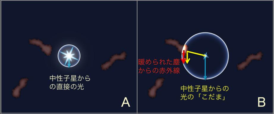観測成果 - 300 年の時を経て明かされた超新星の正体 ? 超新星残骸